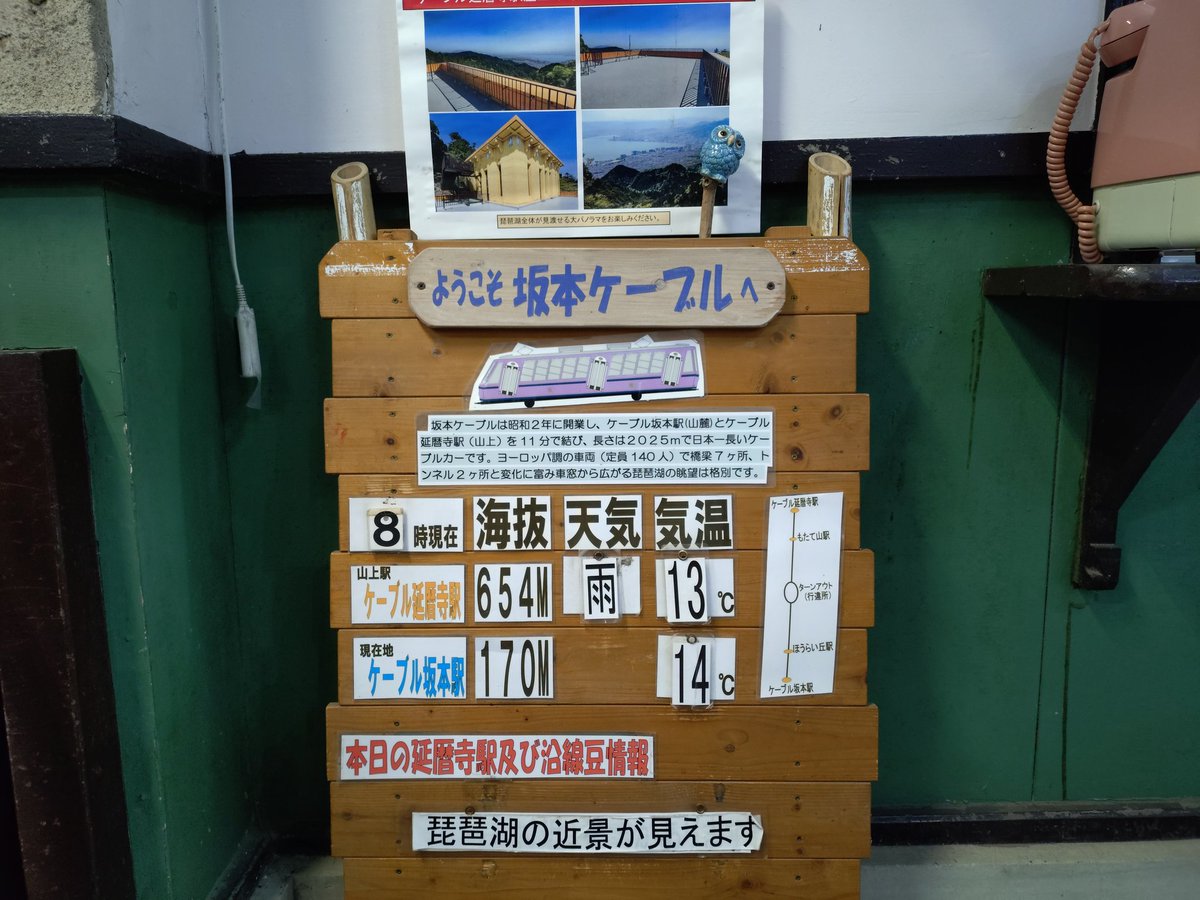 坂本ケーブル【公式】 tweet media