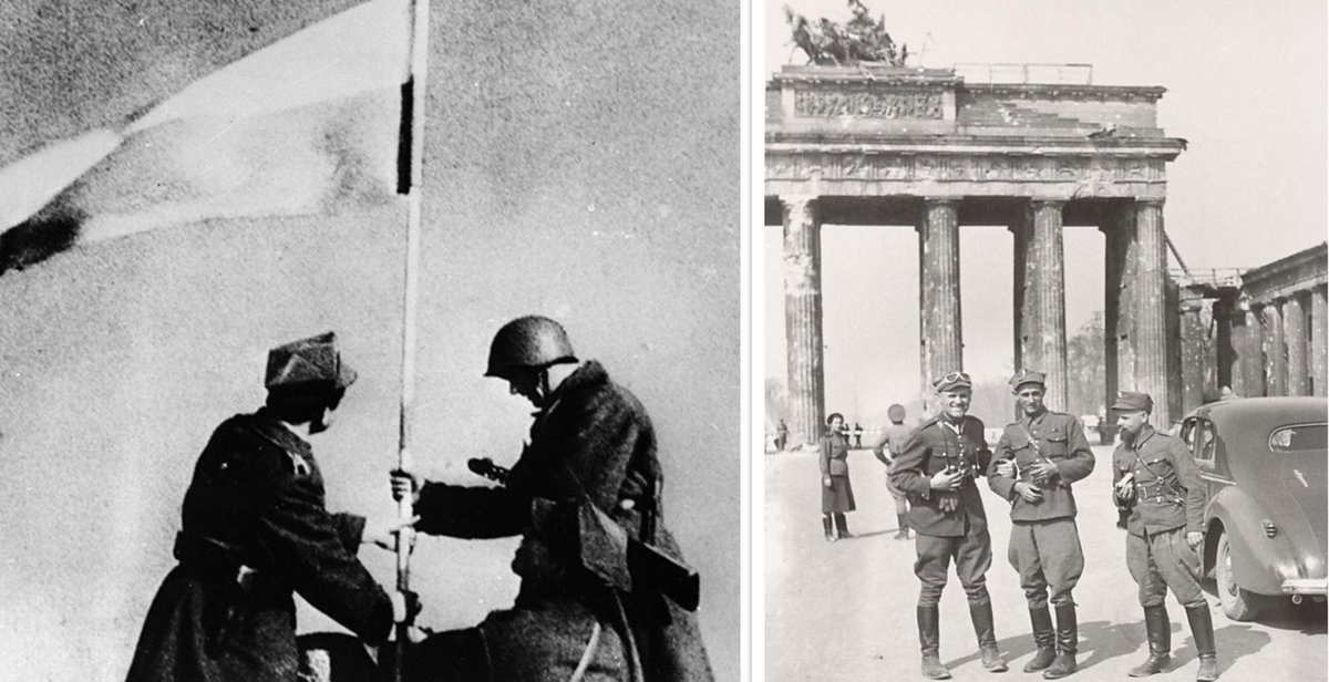 Polish Knight tweet media