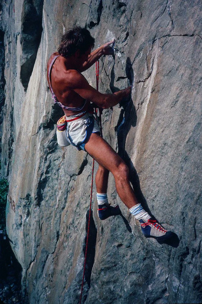 Rambo Van Halen tweet media