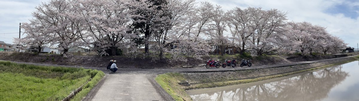 仁（T.M）🏍CBR250RR🏍️XSR125 tweet media