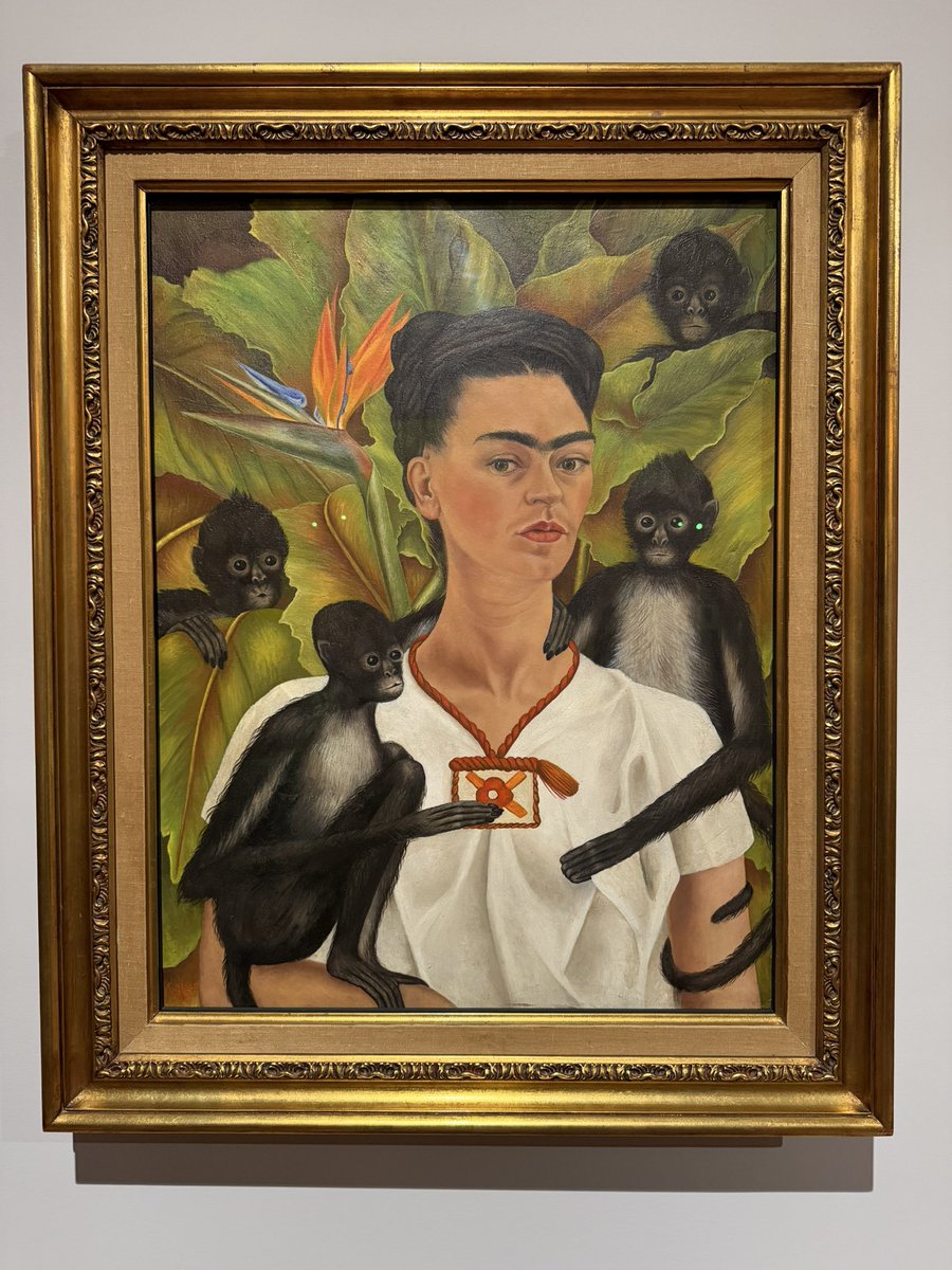 Tlatoani_Cuauhtemoc tweet media