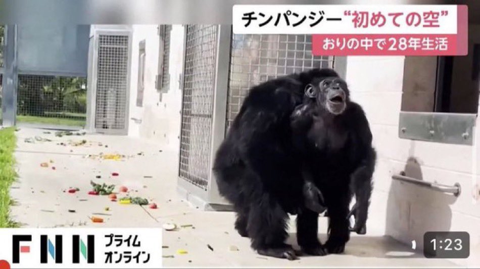 みつしま 7/18 走行会開催!!!!! tweet media