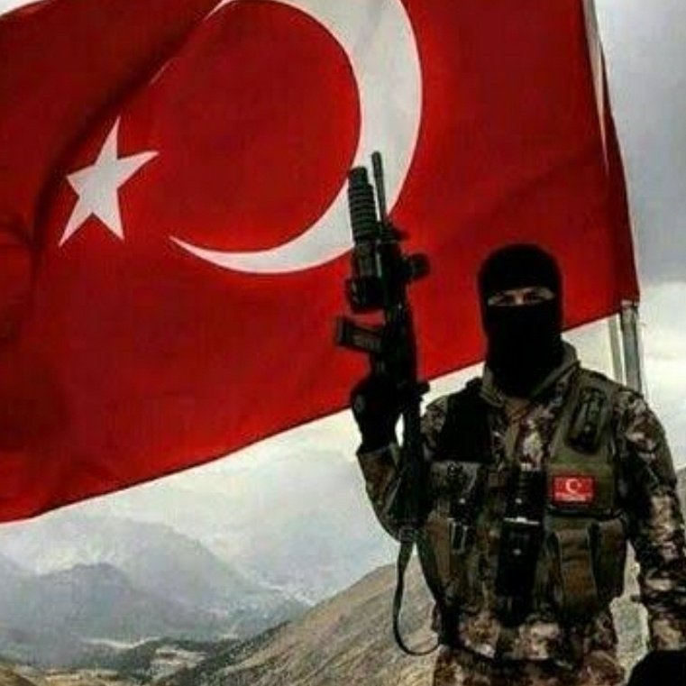 sadecexicin tweet media