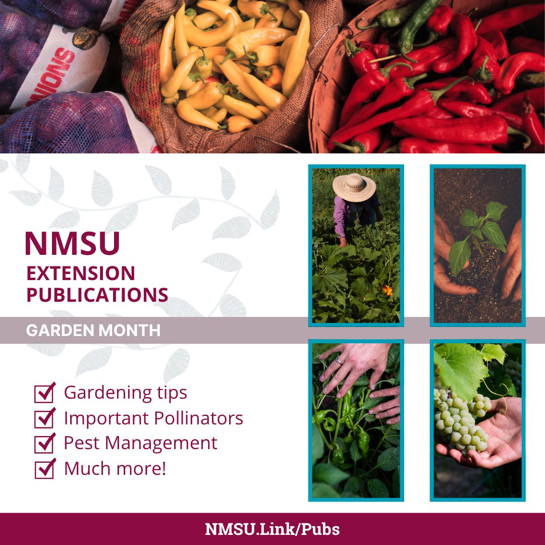 NMSU Extension Pubs tweet media