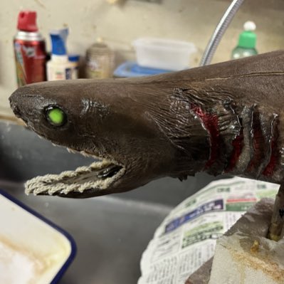 オガワアートコレクション（小川貴光）魚類剥製作家。「魚魚展」「魚人 