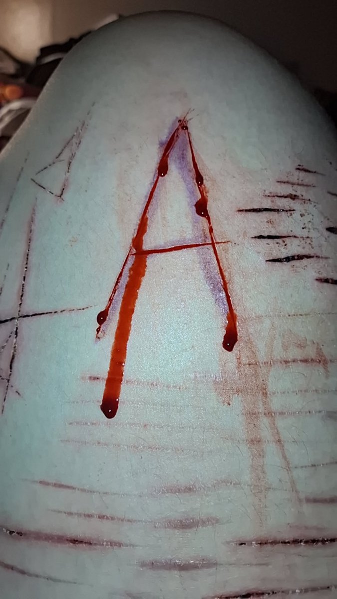 Mimi (。･´д`･。) tweet media