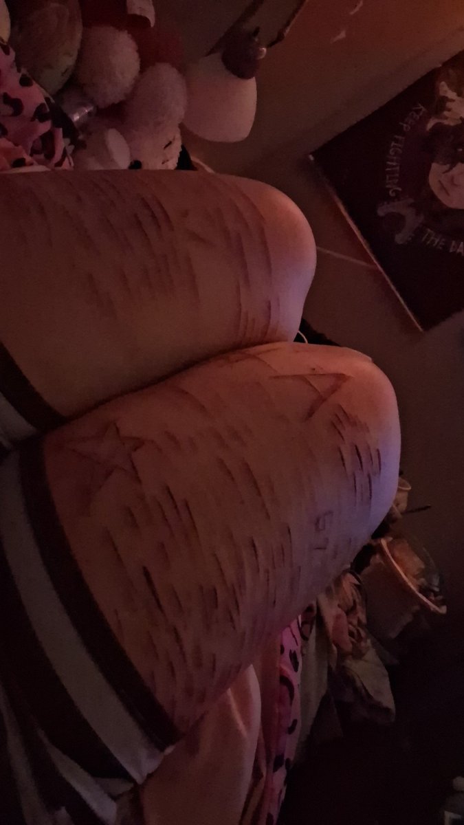 Mimi (。･´д`･。) tweet media