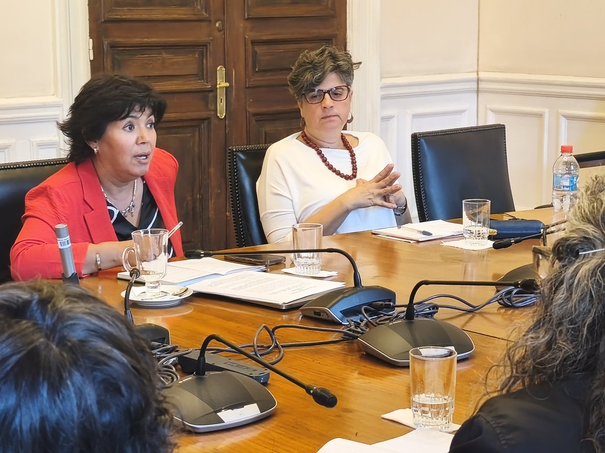 Claudia Pascual Grau tweet media