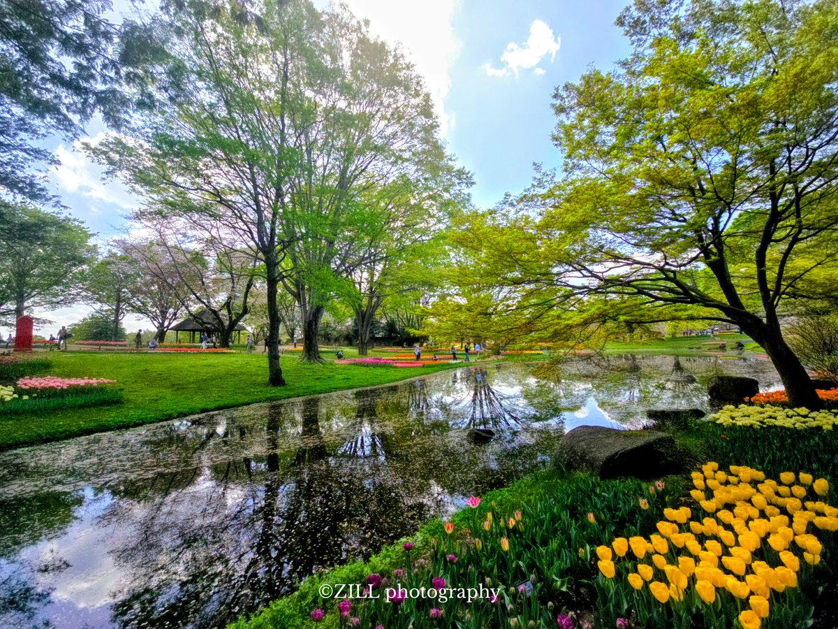 zillannie's tweet photo. リベンジ突撃昭和記念公園① https://t.co/llawcm3mu3