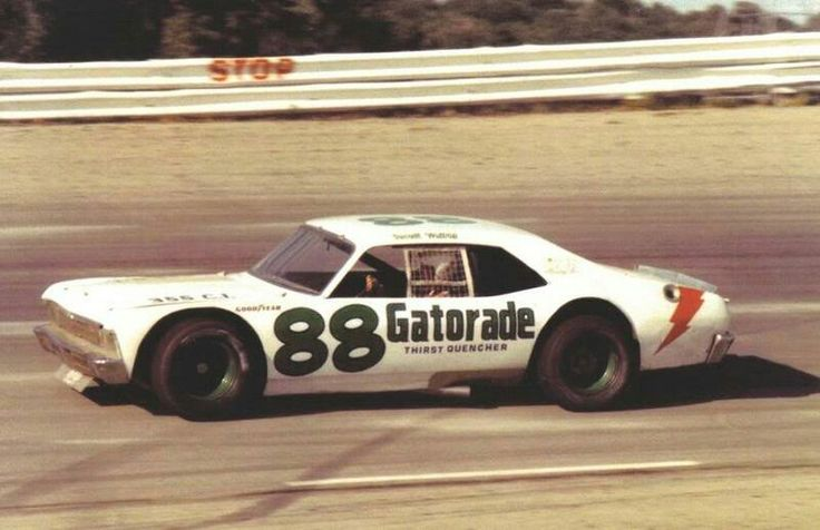 Boingus #MARUNATION 🏎🦘🐎 tweet media