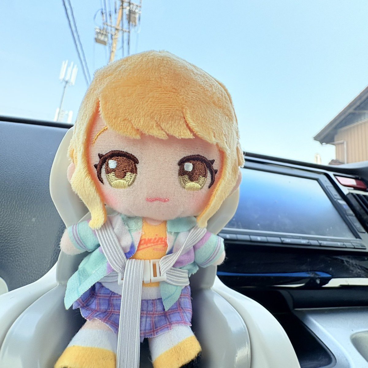 きいろいまっちゃ tweet media