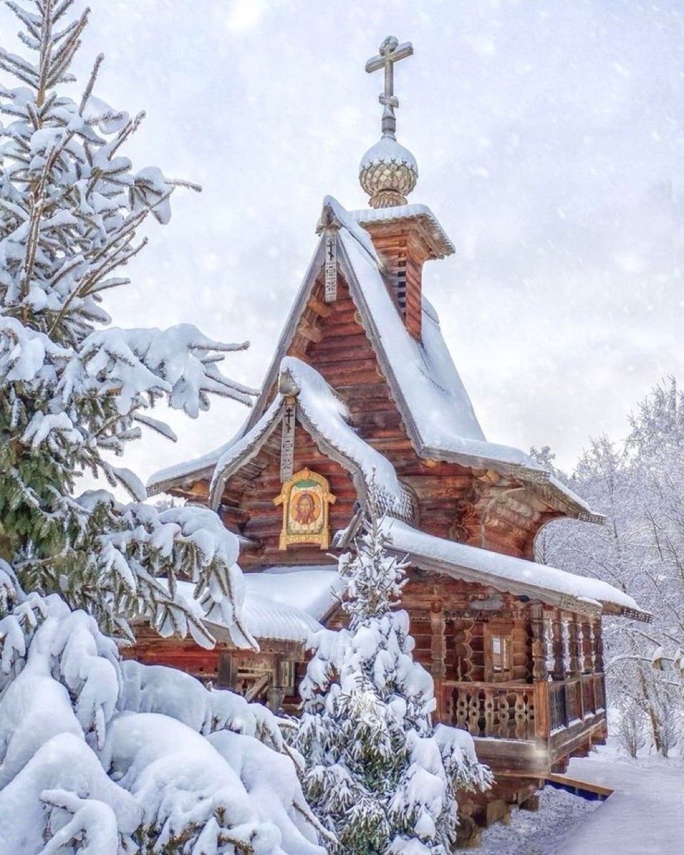 𝙇𝙞𝙜𝙝𝙩🪽 tweet media