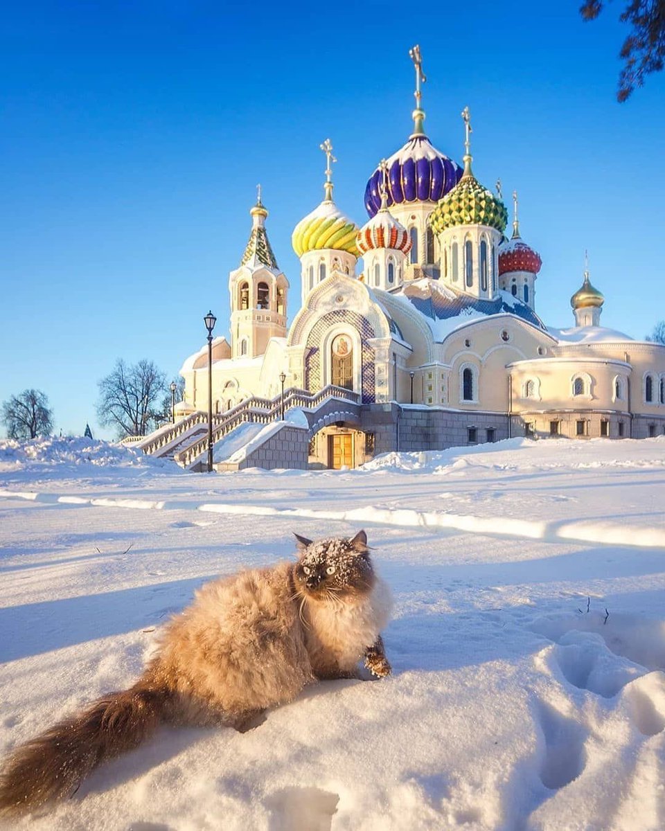 𝙇𝙞𝙜𝙝𝙩🪽 tweet media