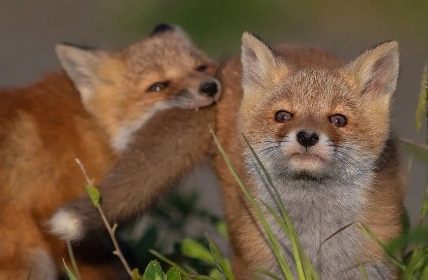 ✨️Spark Plugg✨️ tweet media