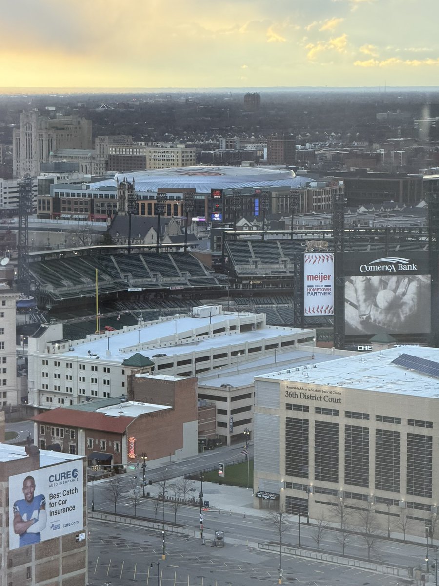 Mark Scheig tweet media