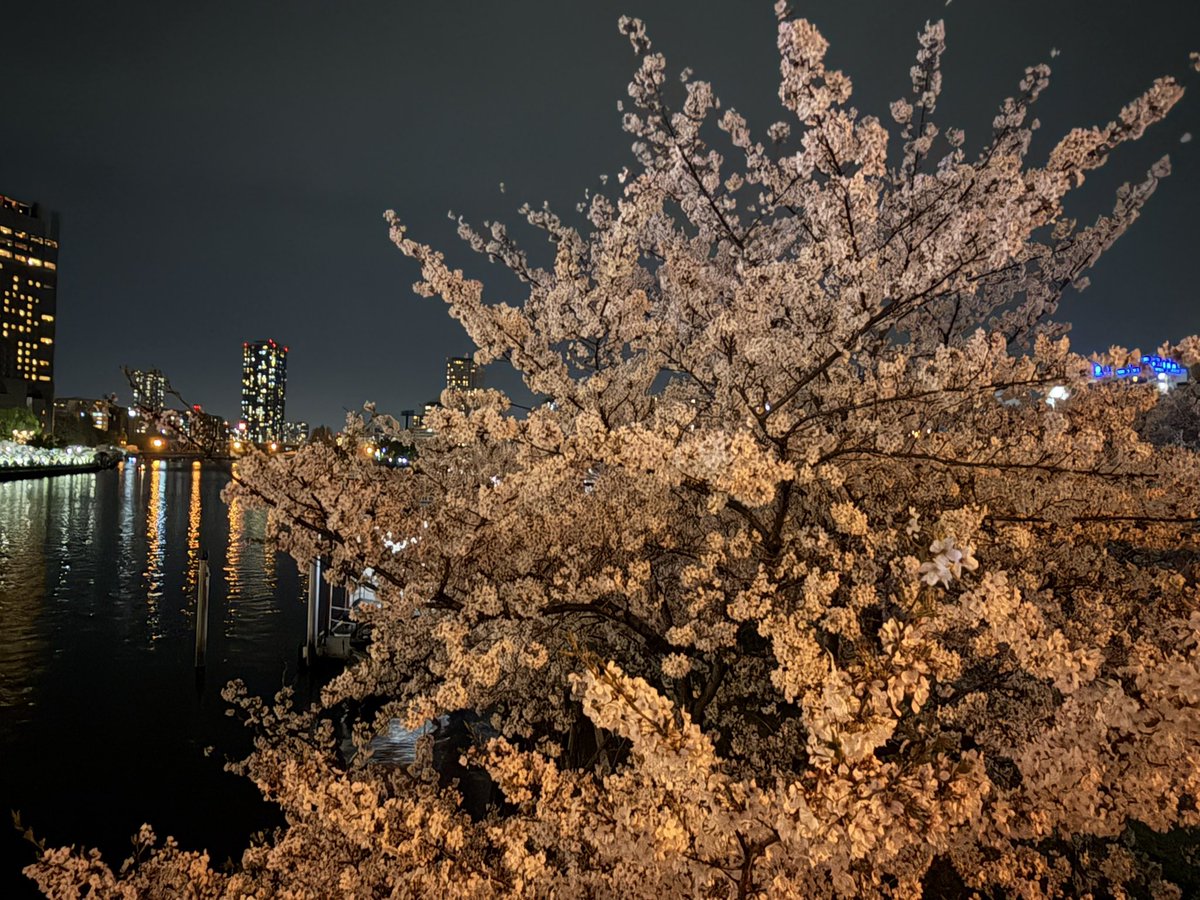 ちゃんりこ tweet media