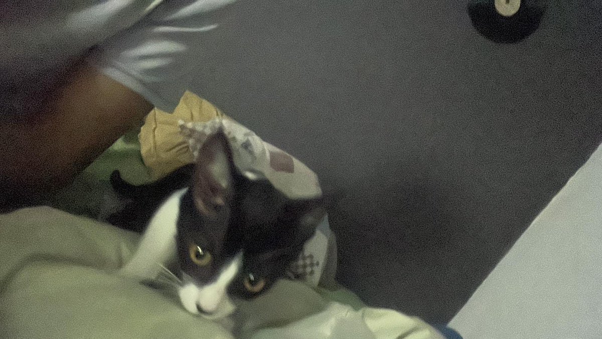 redbicheraoficialuruguay tweet media