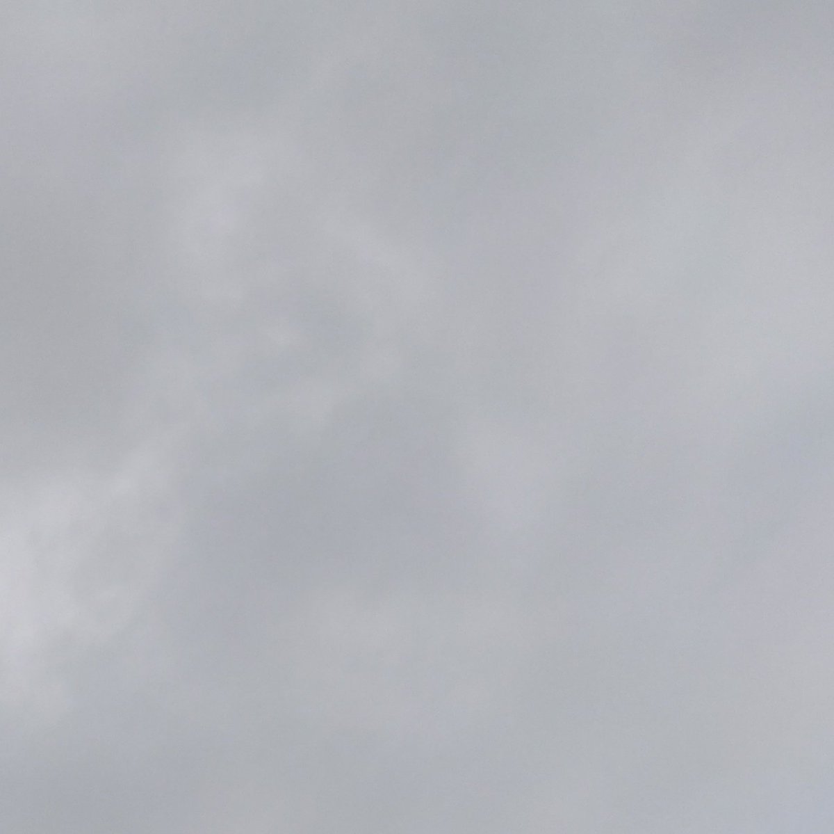 箱崎みどり（ニッポン放送）／『愛と欲望の三国志』／気象予報士／日曜21:20『いま、地球がアツい！』 tweet media