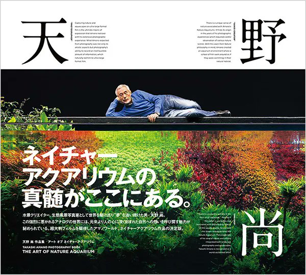 The Watcher On The Web tweet media