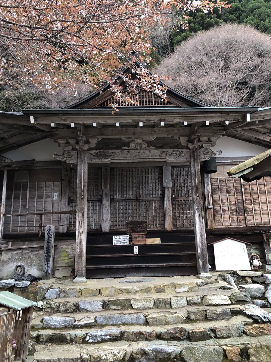 月輪寺【公式】 tweet media