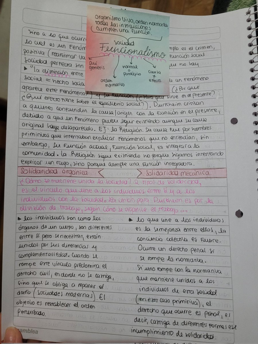 chio ⋆·˚ ༘ tweet media