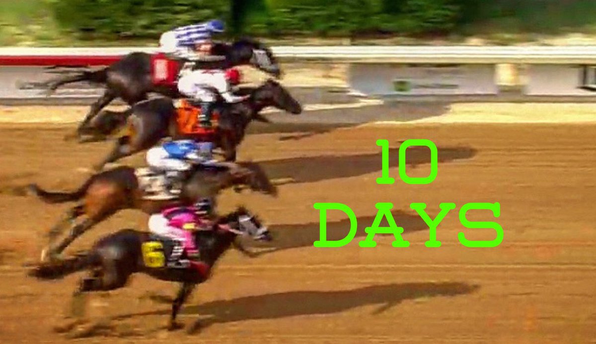 Lone Star Park tweet media