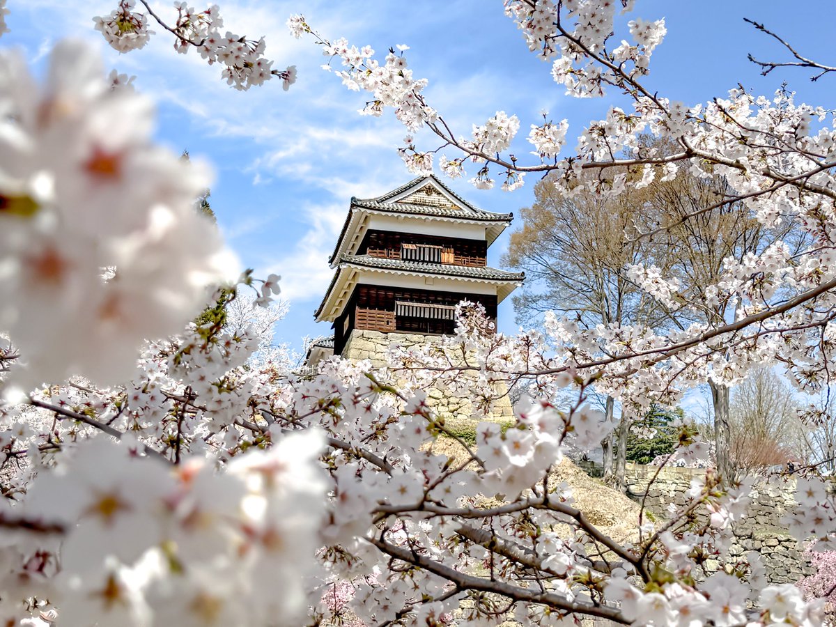 じゅんみお🍣🎲📷 tweet media