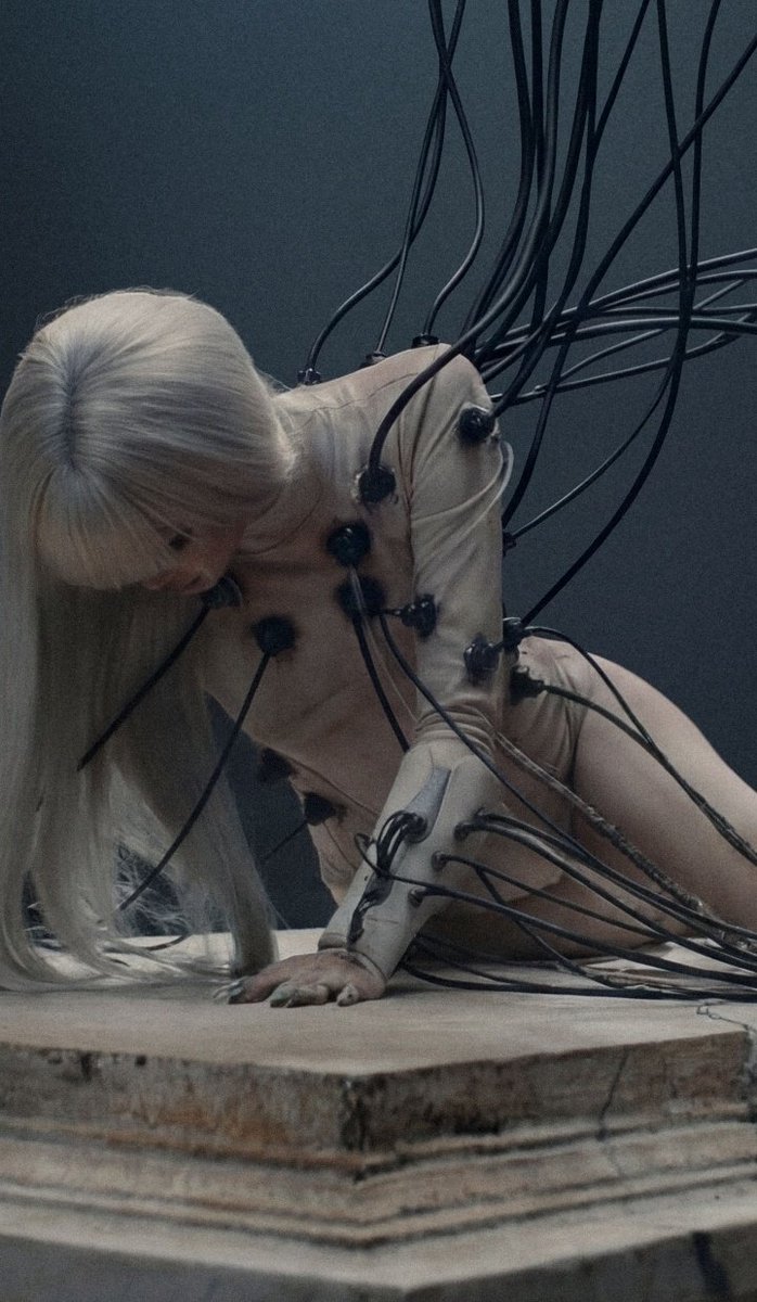 LILIES SPACE tweet media