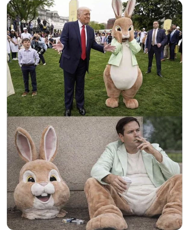 Robert W Malone, MD tweet media