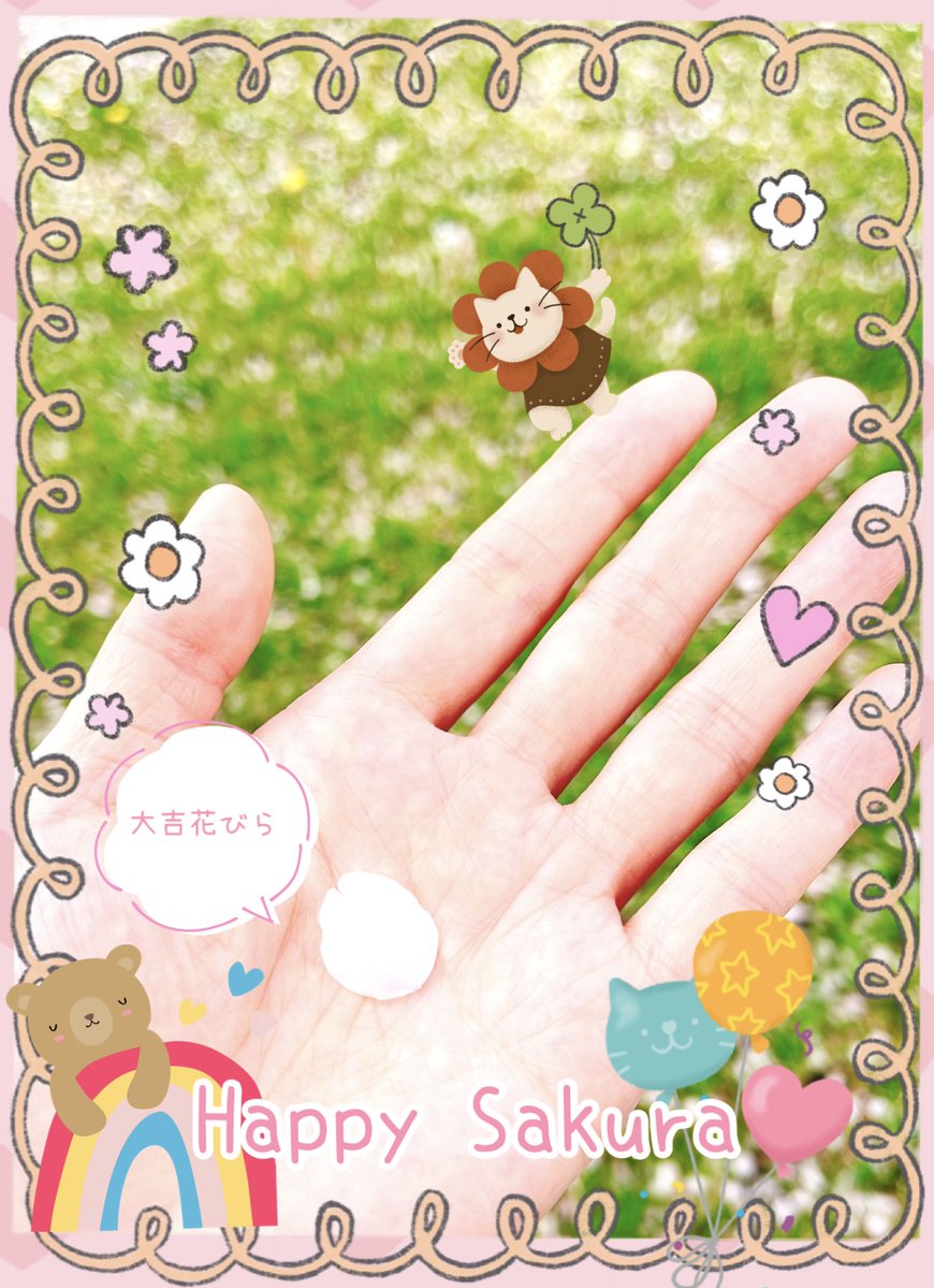 Sakura🌸 tweet media