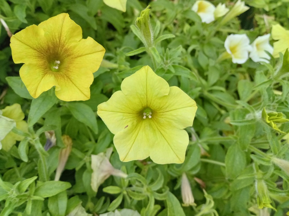 ぼっち tweet media