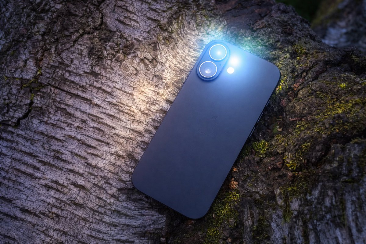 trueadam56t81 tweet media