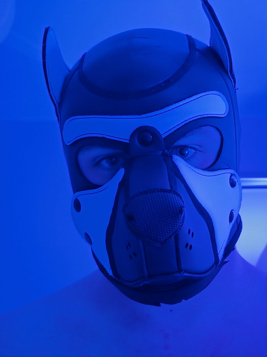 Maniacal Mercury tweet media