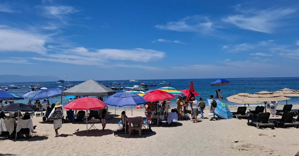 PVDN Official - Puerto Vallarta News tweet media