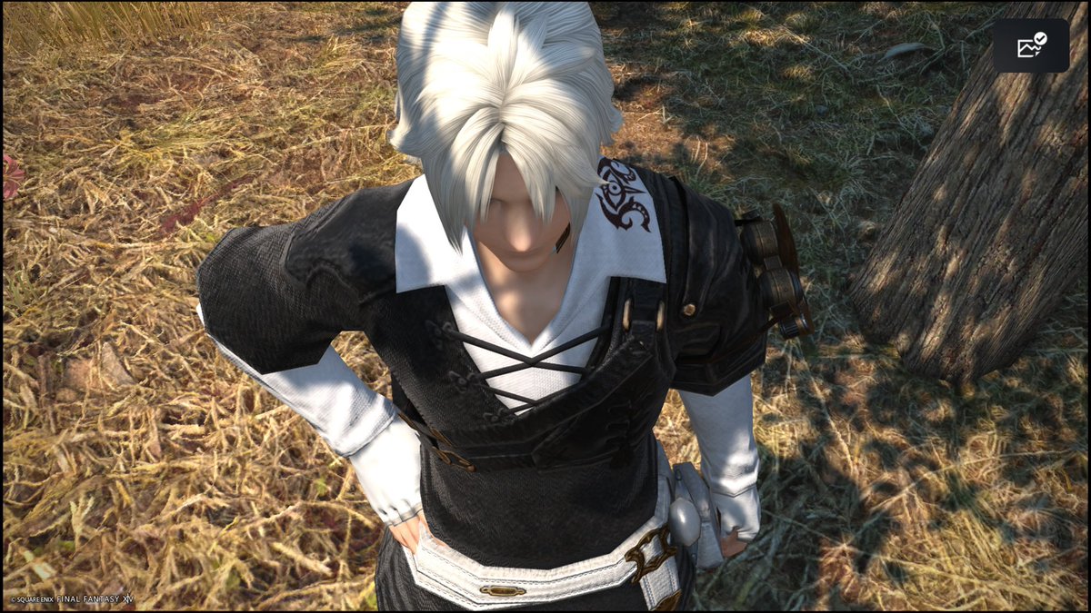 🌲🍀elf habitat field recordings 🦭🏳️⚧️🌱 tweet media