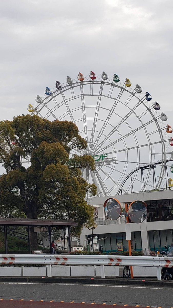 🎳🐰影🐯虎🐶🎳 tweet media