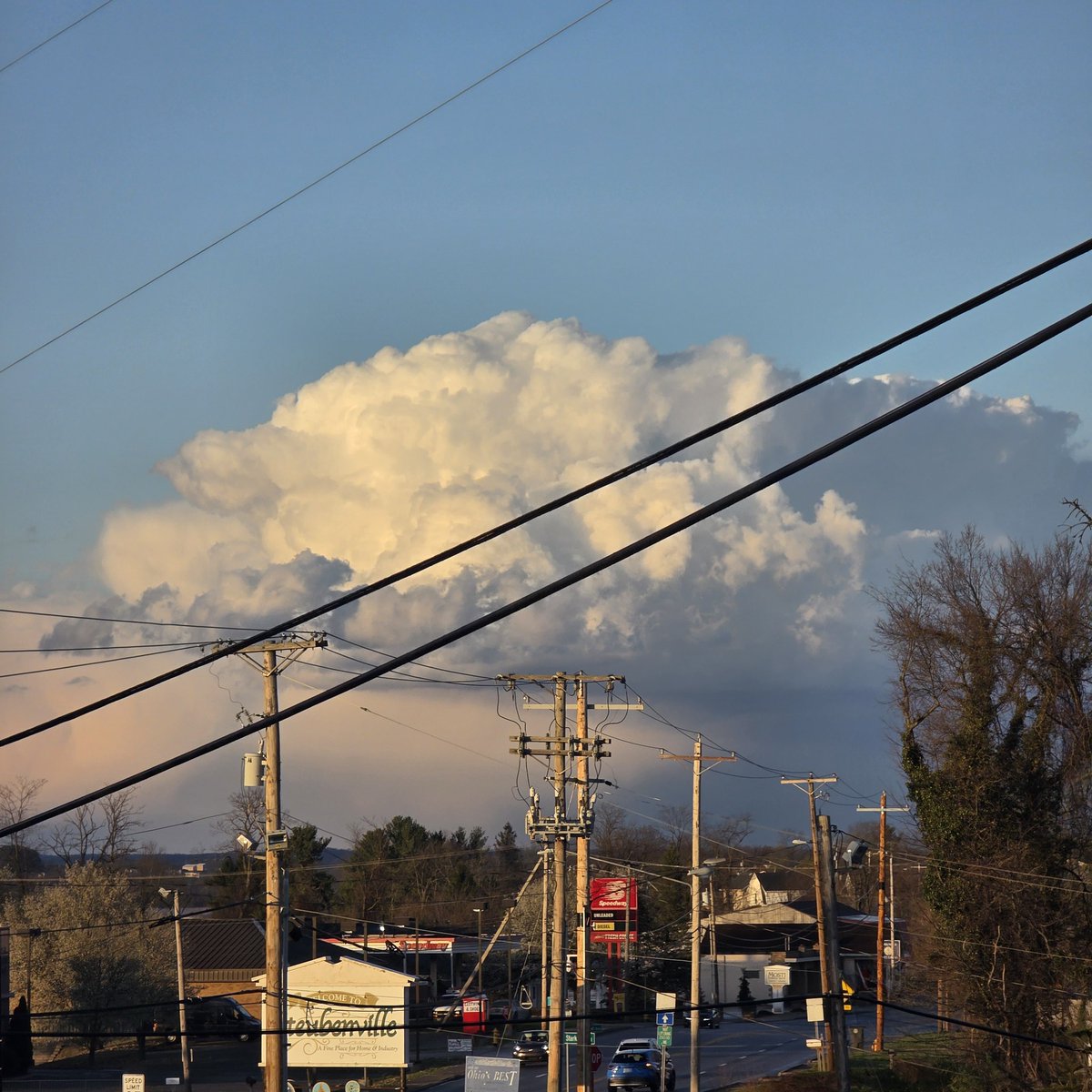 Jason 🌰 🌪 tweet media