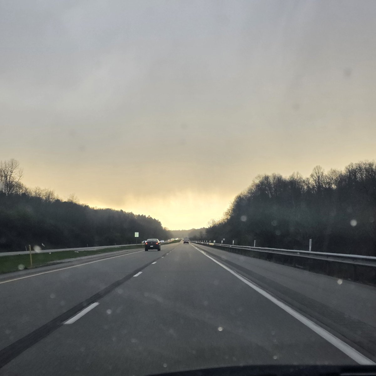 Jason 🌰 🌪 tweet media