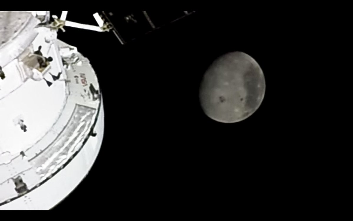 ちゃんと (중도에서책빌리기) tweet media