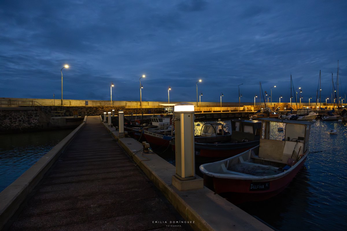 Emilia Domínguez tweet media