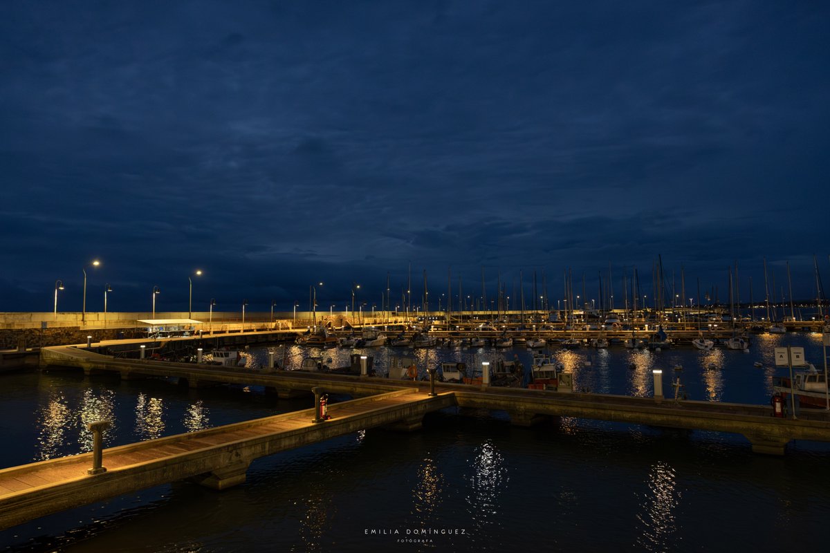 Emilia Domínguez tweet media