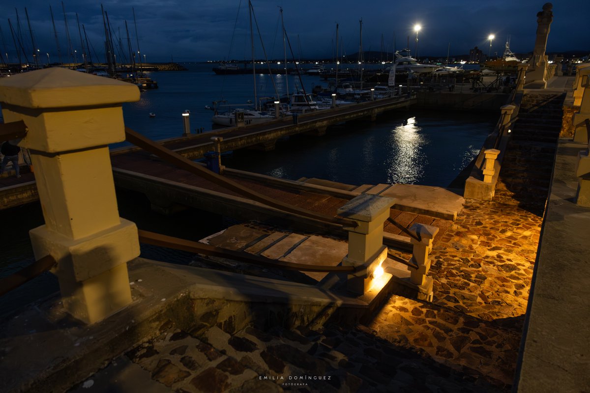 Emilia Domínguez tweet media