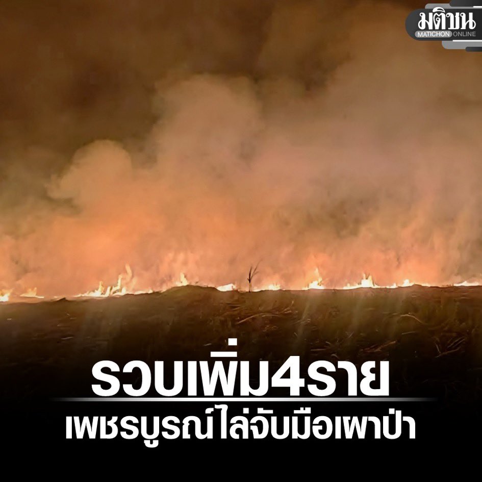 พี่อ่านข่าวมา พี่ก็มาแบ่งปัน tweet media