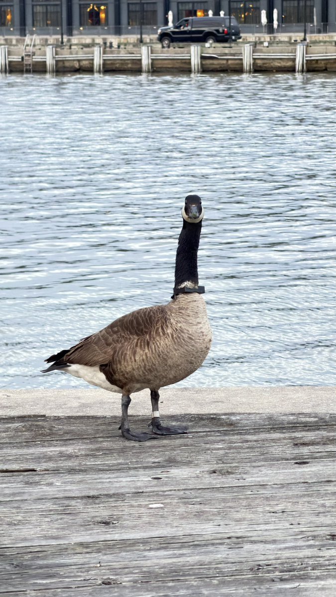 예자 🇵🇸 tweet media