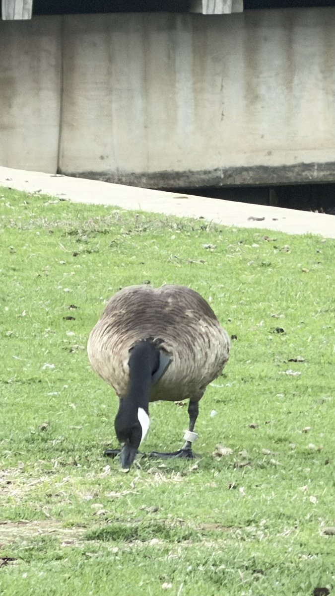 예자 🇵🇸 tweet media