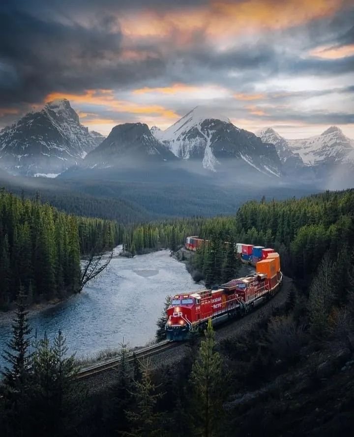 John Neaves tweet media