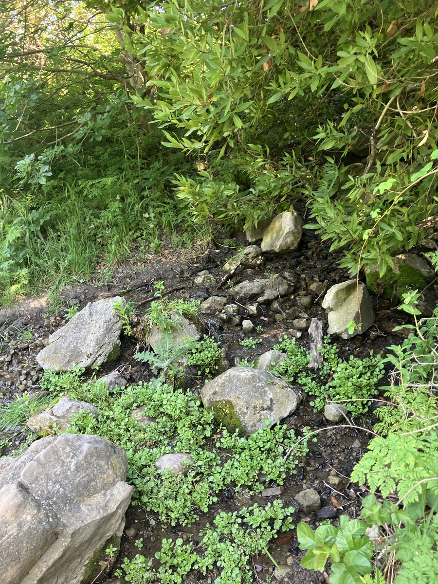 GioMTZ76's tweet photo. Nothing like a good Monday hike https://t.co/03BXim2zWZ