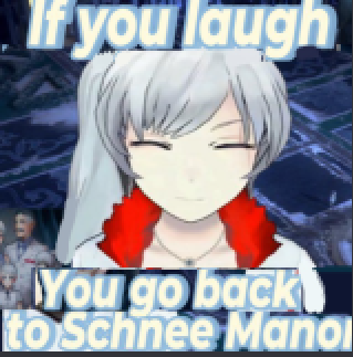 SYTOkun - The ZZZ x RWBY guy tweet media