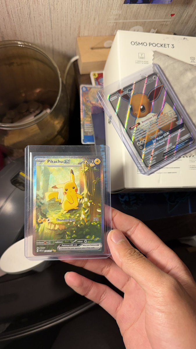 hotline degen tweet media