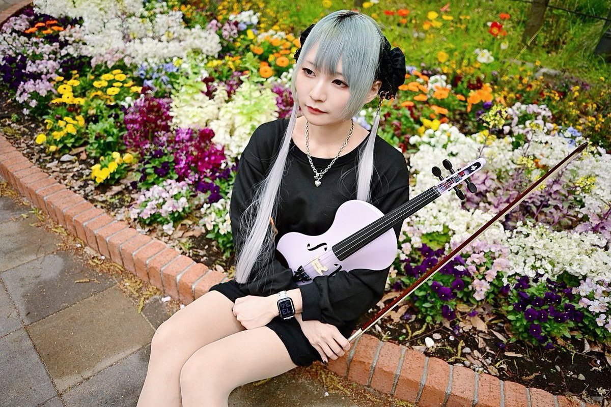 秘京 凛🎐🎻LOILO tweet media